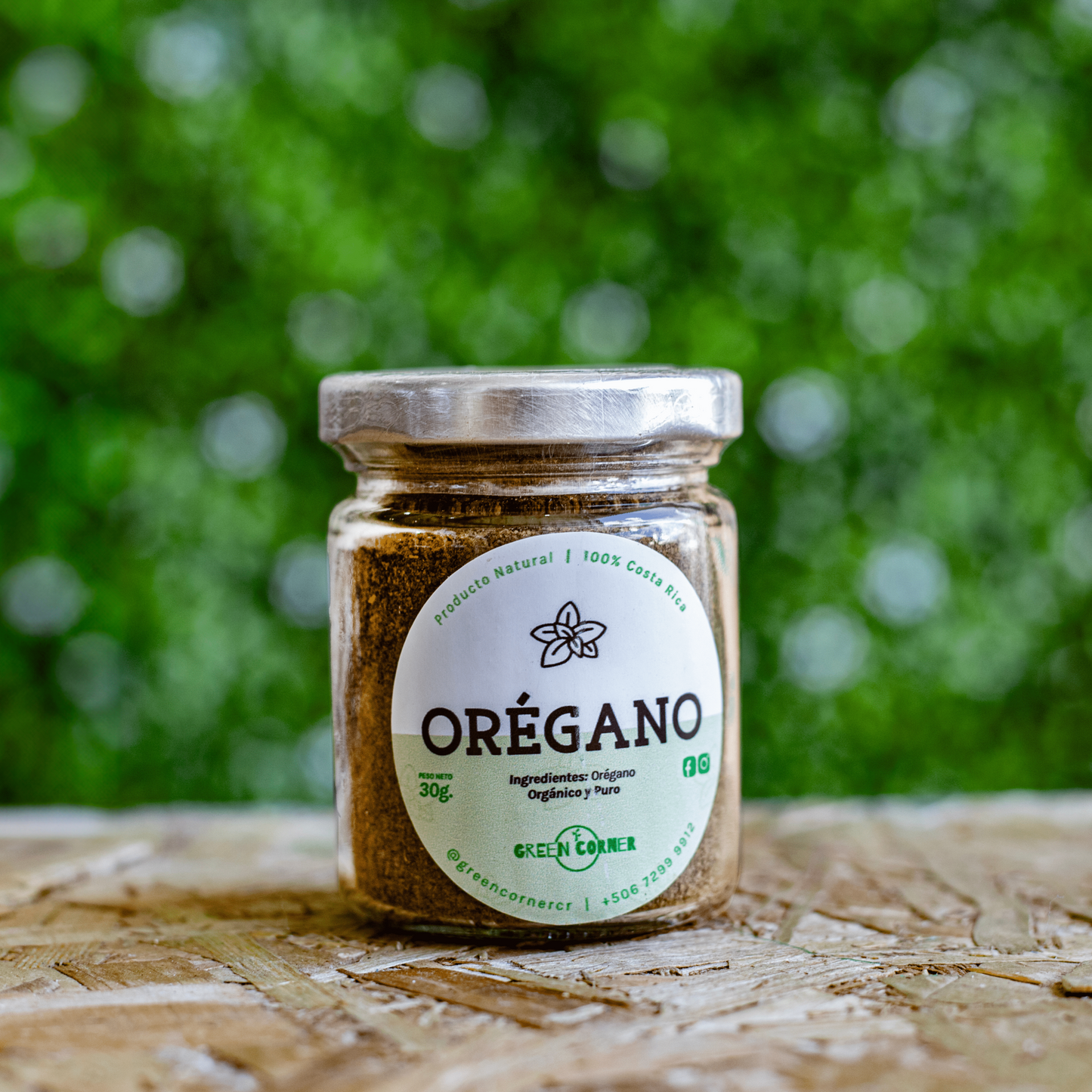 Orégano
