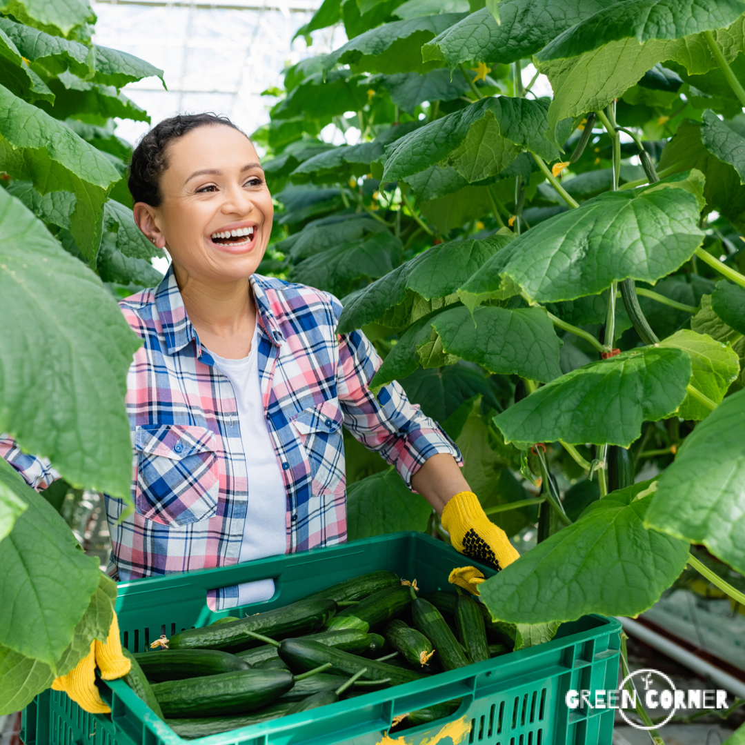 ¿La agricultura orgánica realmente tiene impactos positivos en el medio ambiente?