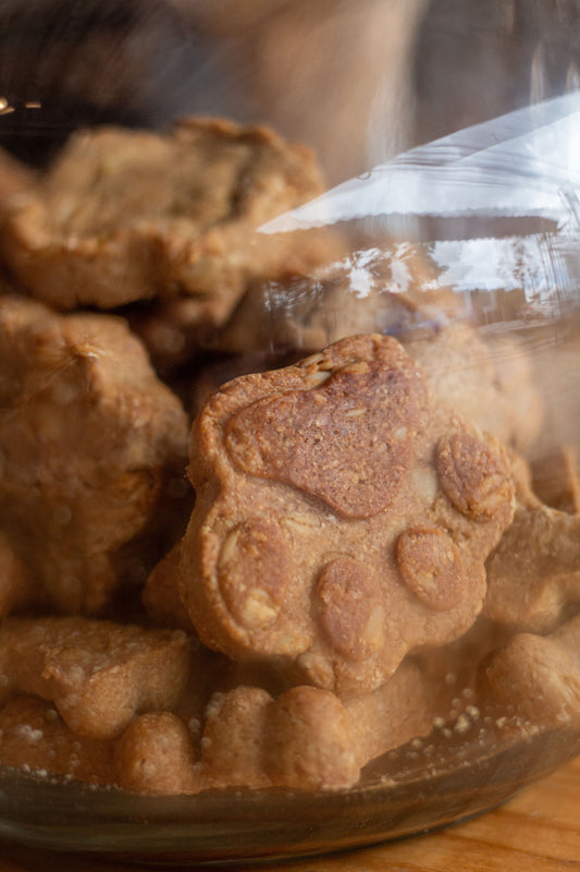 Galletas de perro